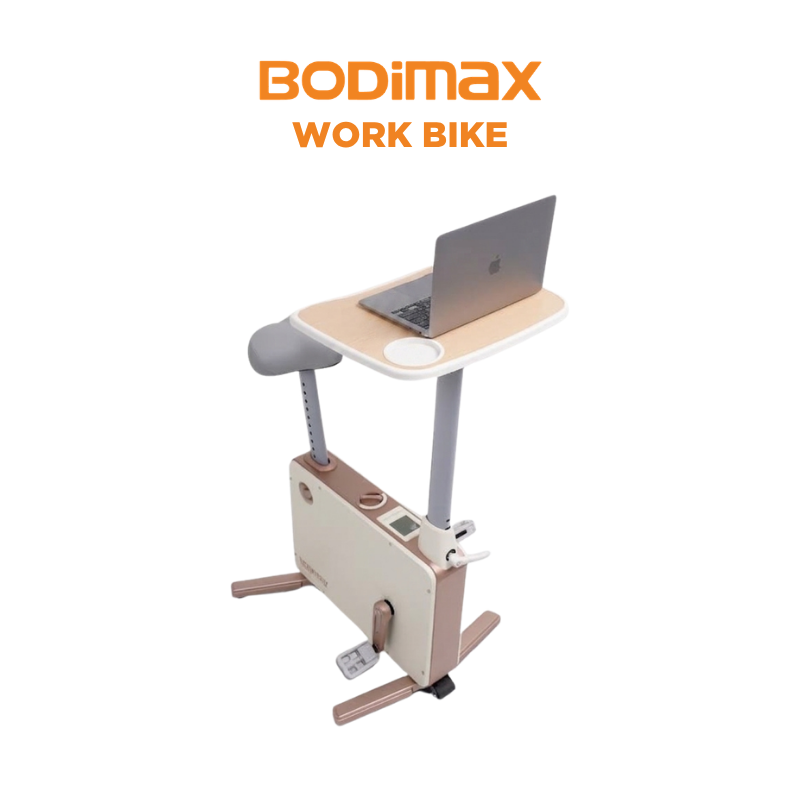 BODIMAX WORKBIKE